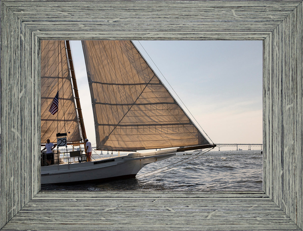 2025 Sandy Point Skipjack Races - The Ruark at the Bridge