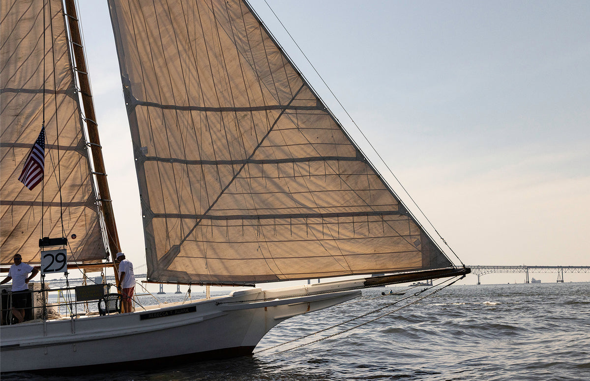 2025 Sandy Point Skipjack Races - The Ruark at the Bridge