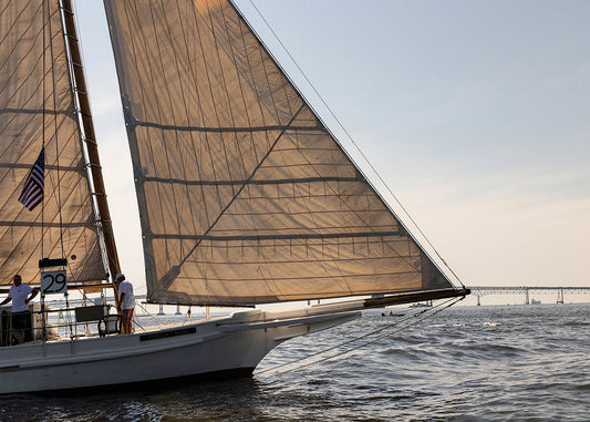 2025 Sandy Point Skipjack Races - The Ruark at the Bridge
