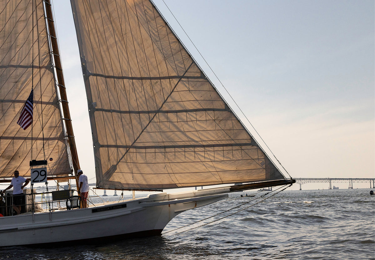 2025 Sandy Point Skipjack Races - The Ruark at the Bridge