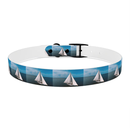 Skipjack Dog Collar