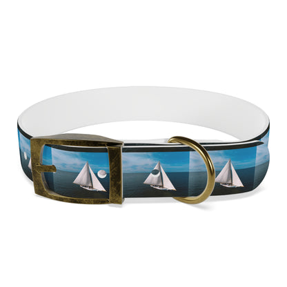 Skipjack Dog Collar