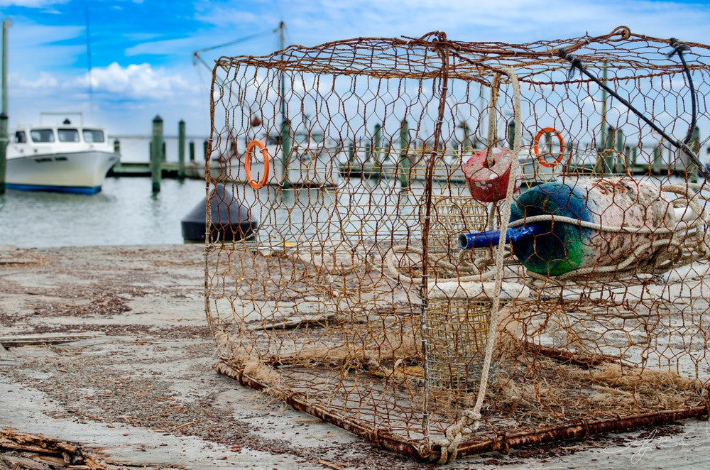 Crab Pot at the Wharf (Giclée Canvas)