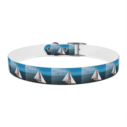 Skipjack Dog Collar