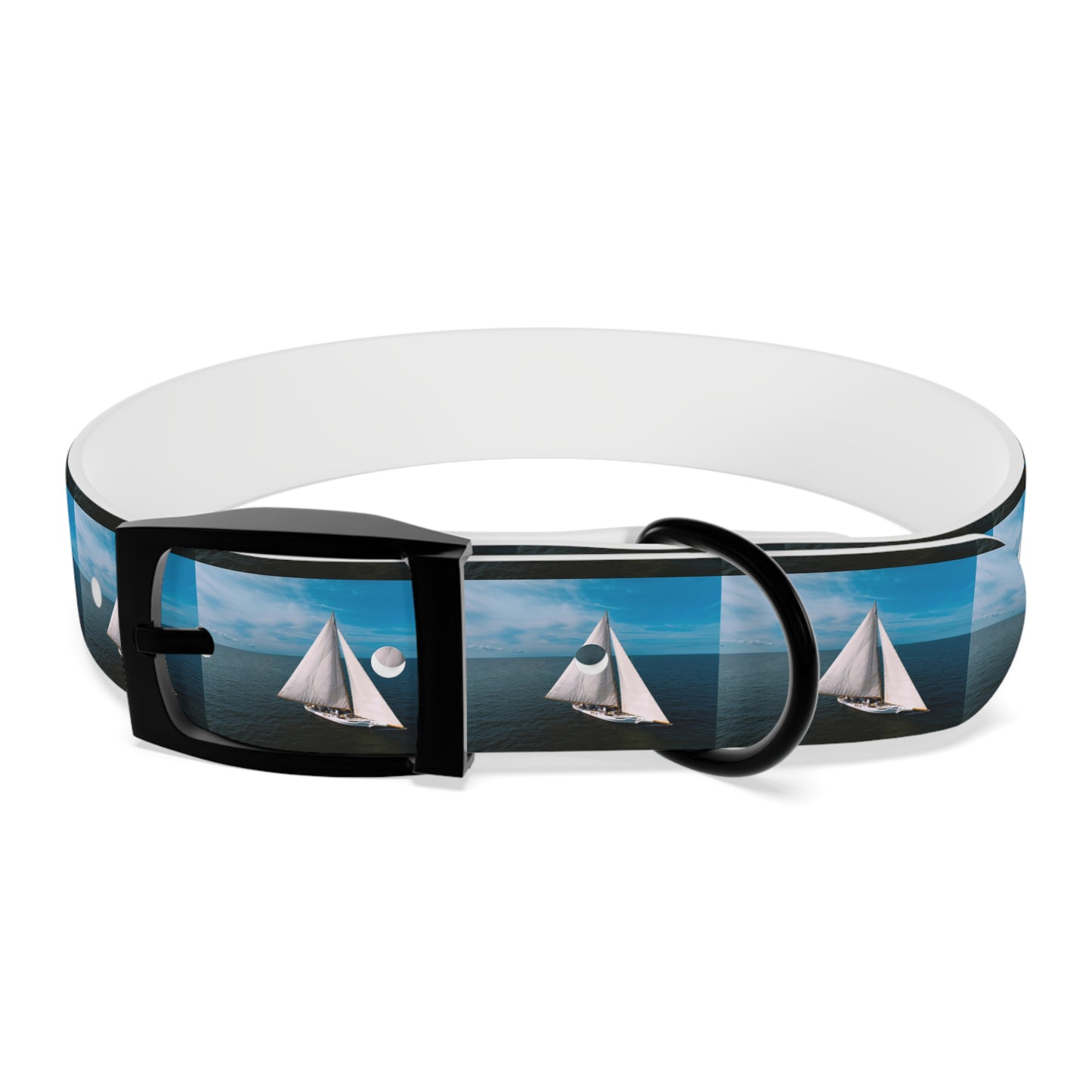 Skipjack Dog Collar