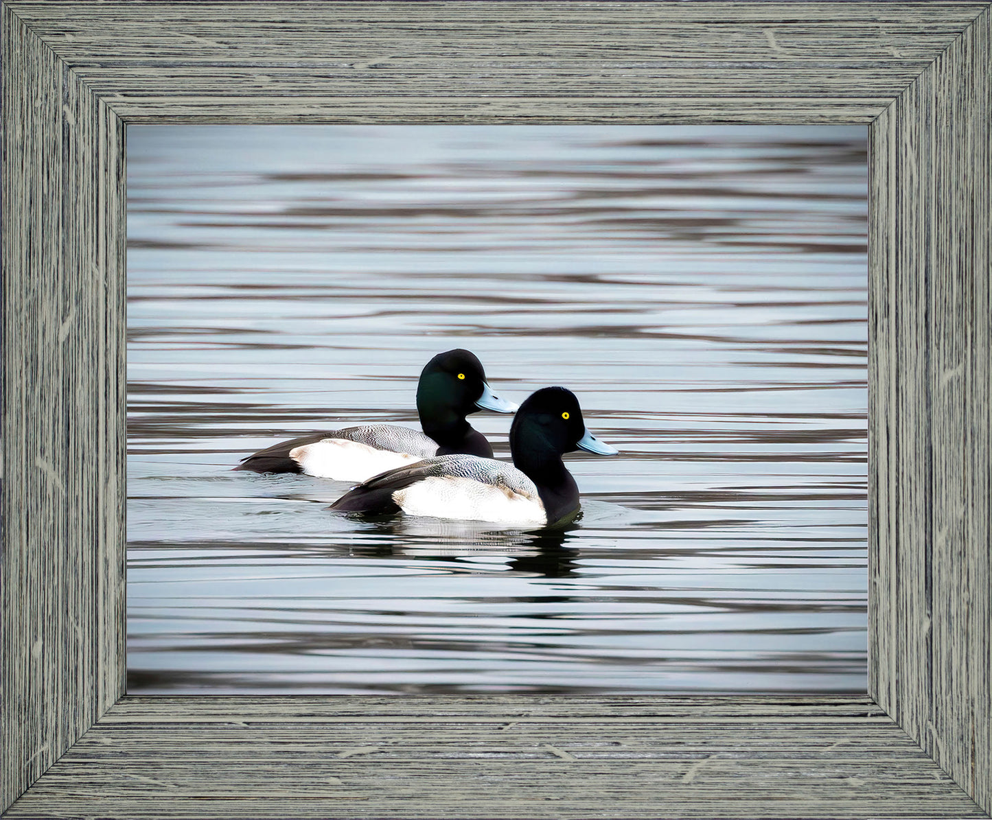 Blue Bills