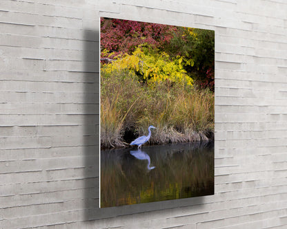 Cadle Creek Heron (Portrait) -- HD Metal