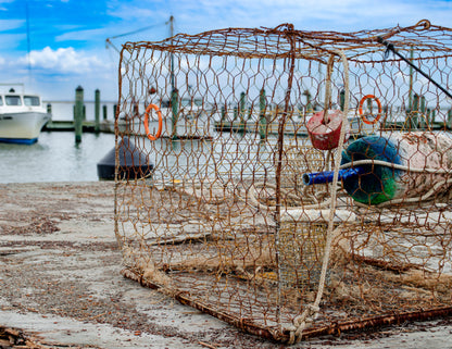 Crab Pot at the Wharf (Giclée Canvas)