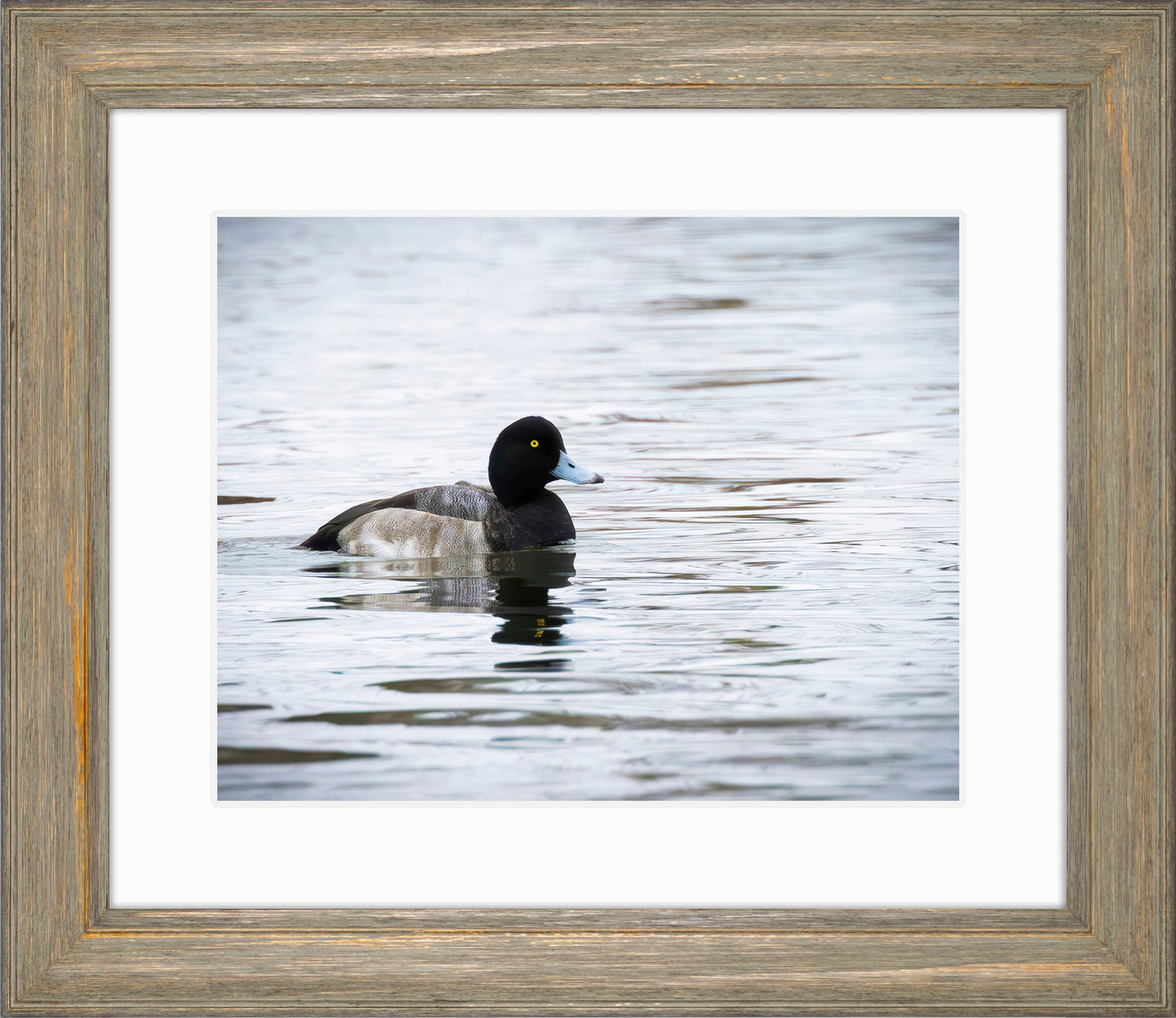 Muddy Blue Bill