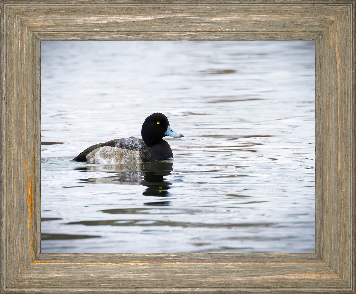 Muddy Blue Bill