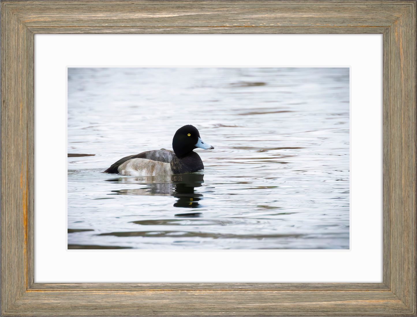 Muddy Blue Bill
