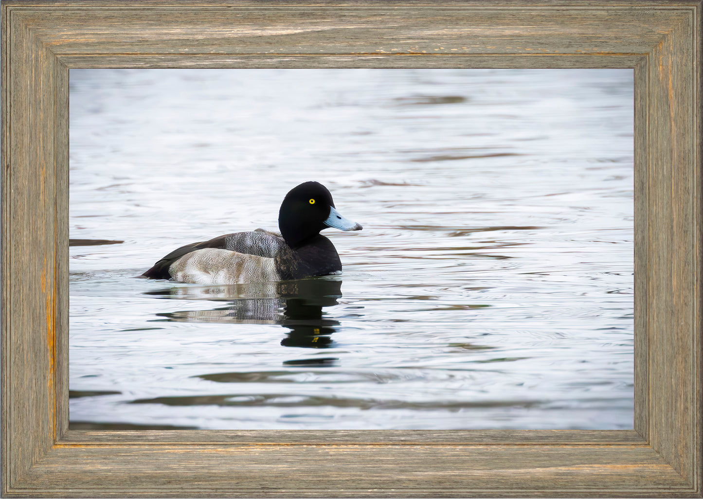 Muddy Blue Bill