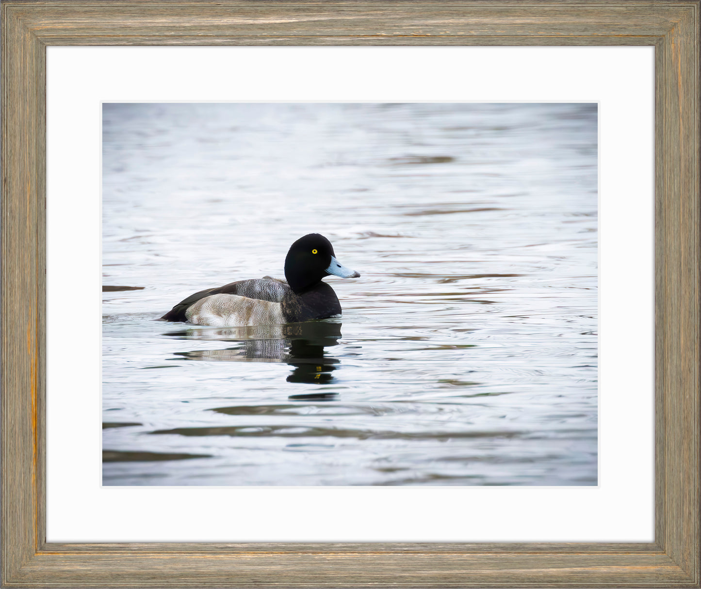 Muddy Blue Bill
