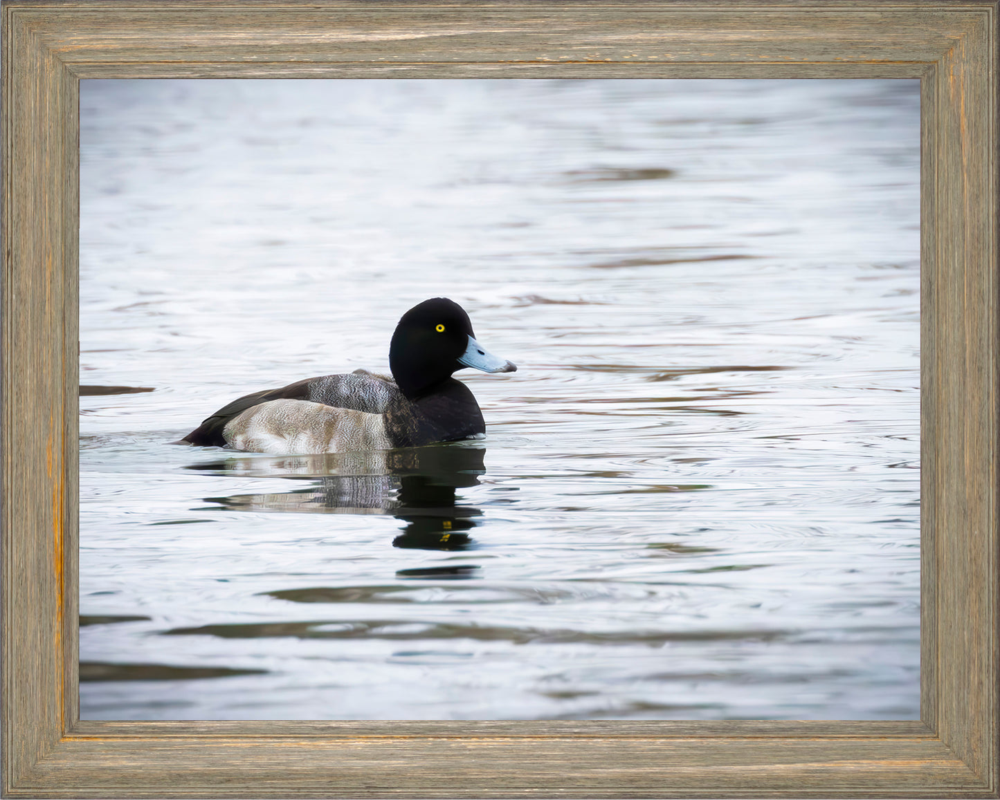 Muddy Blue Bill