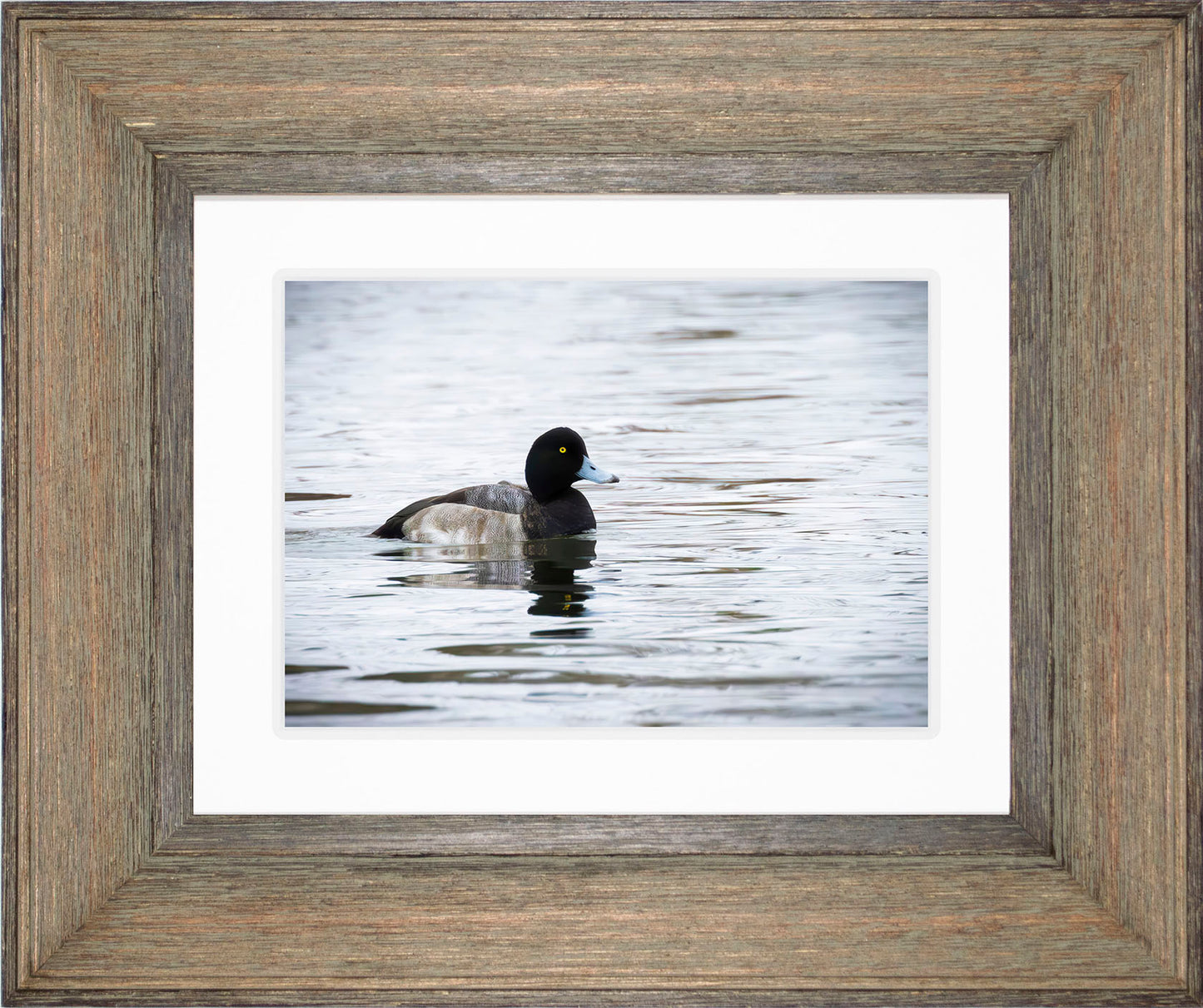 Muddy Blue Bill