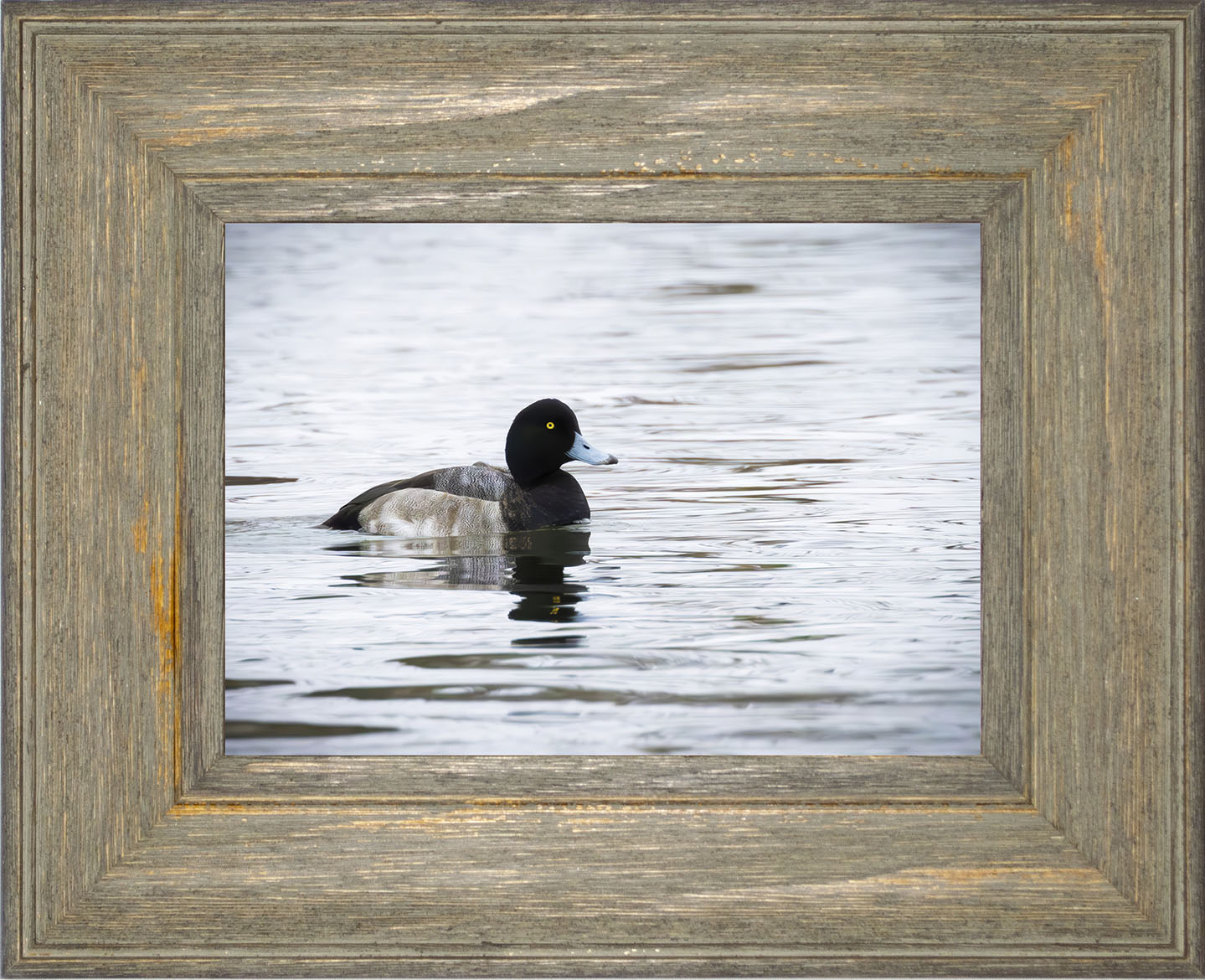Muddy Blue Bill