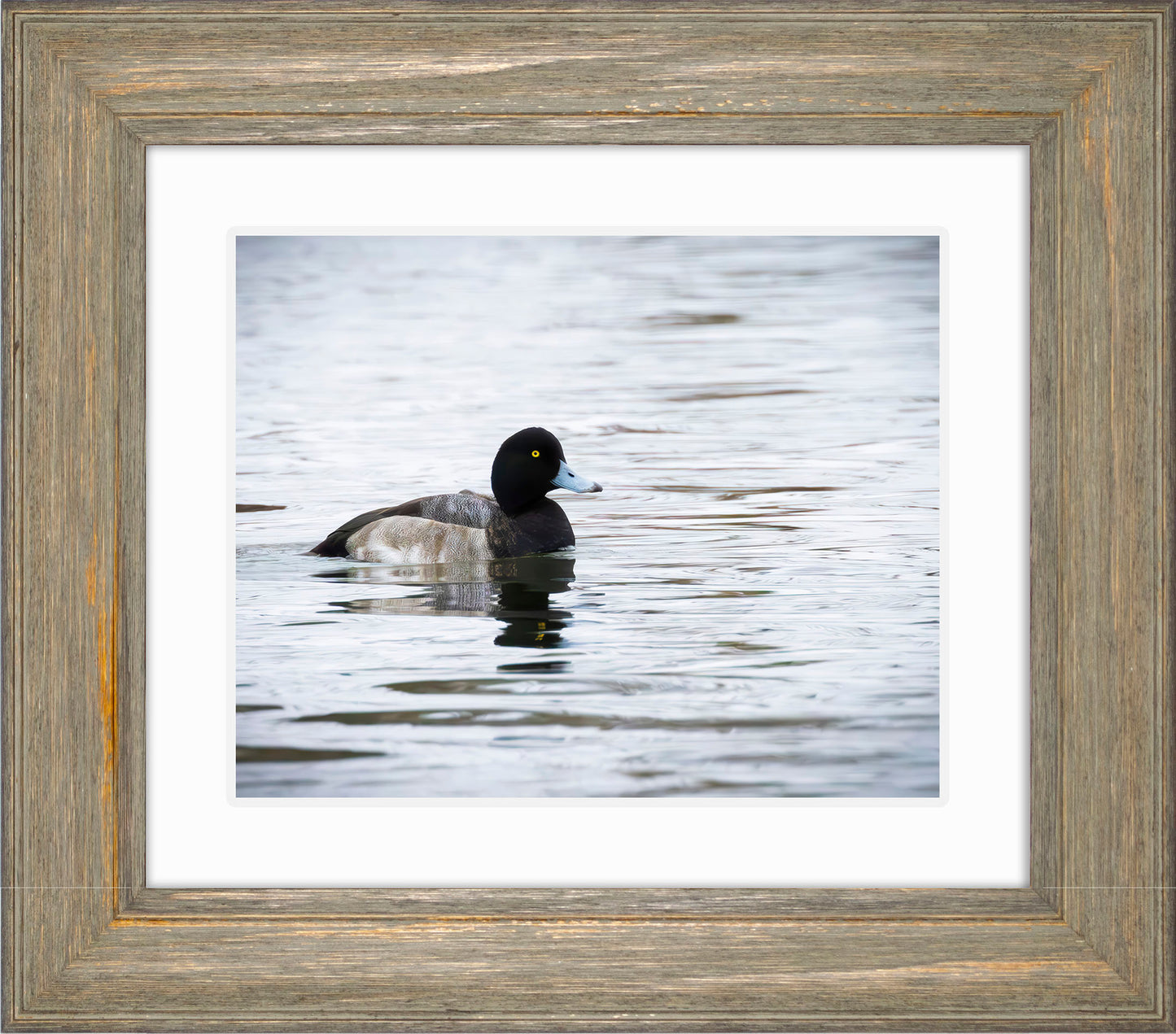 Muddy Blue Bill