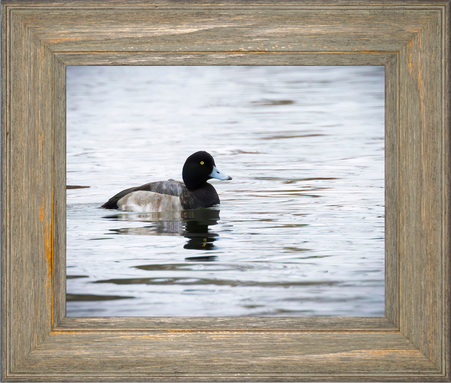 Muddy Blue Bill