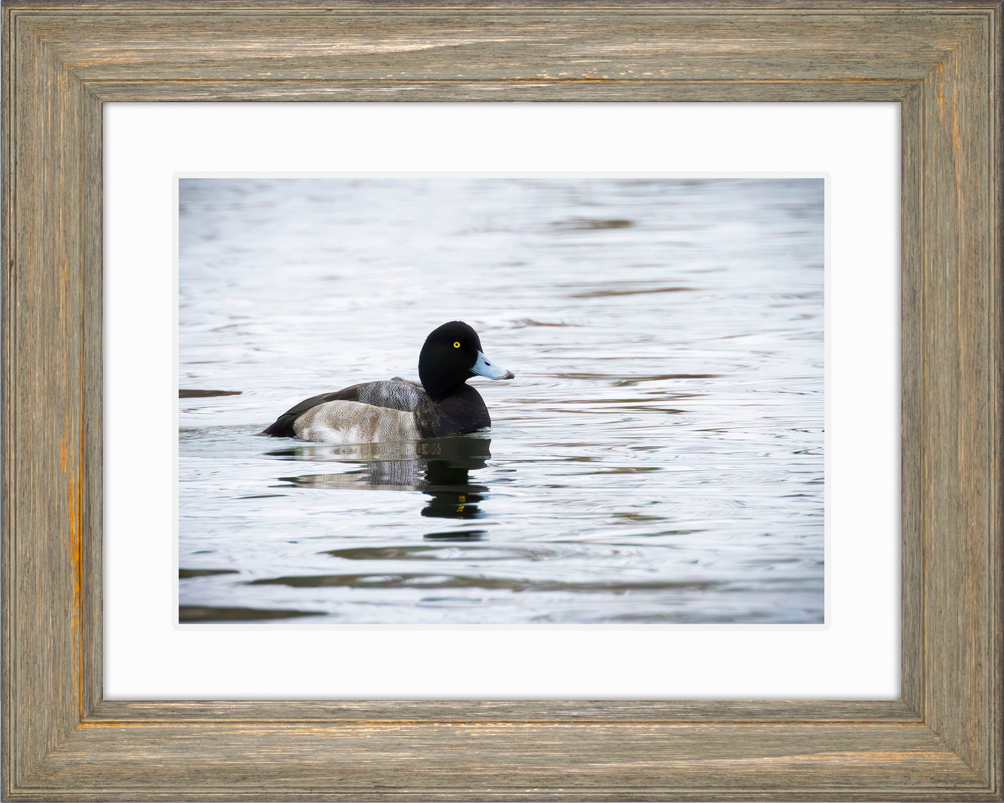 Muddy Blue Bill