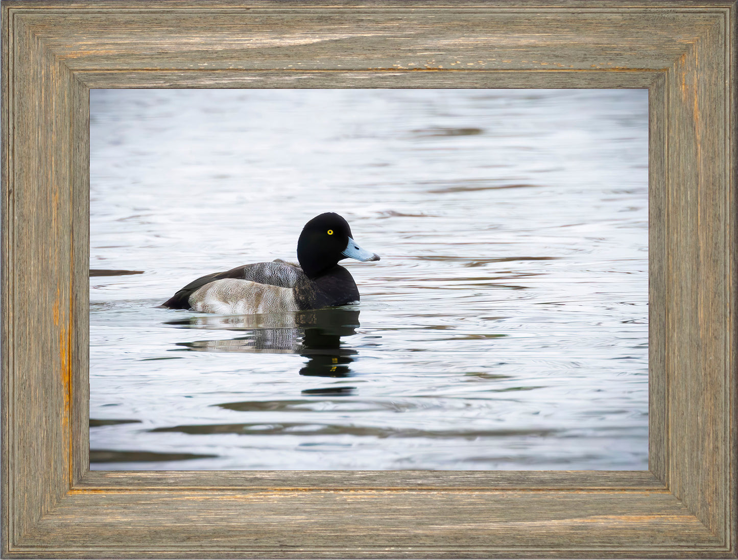 Muddy Blue Bill