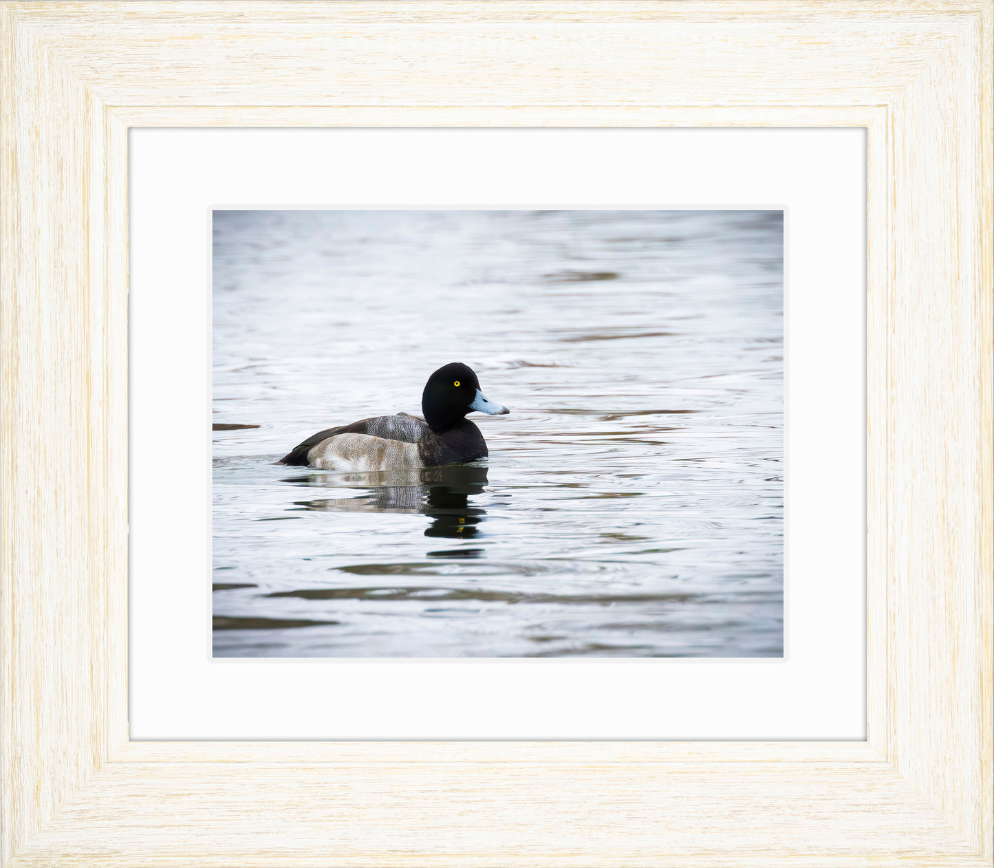 Muddy Blue Bill