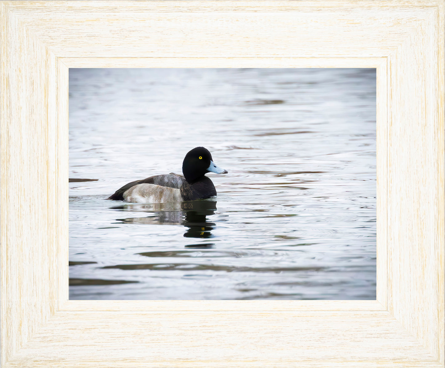 Muddy Blue Bill