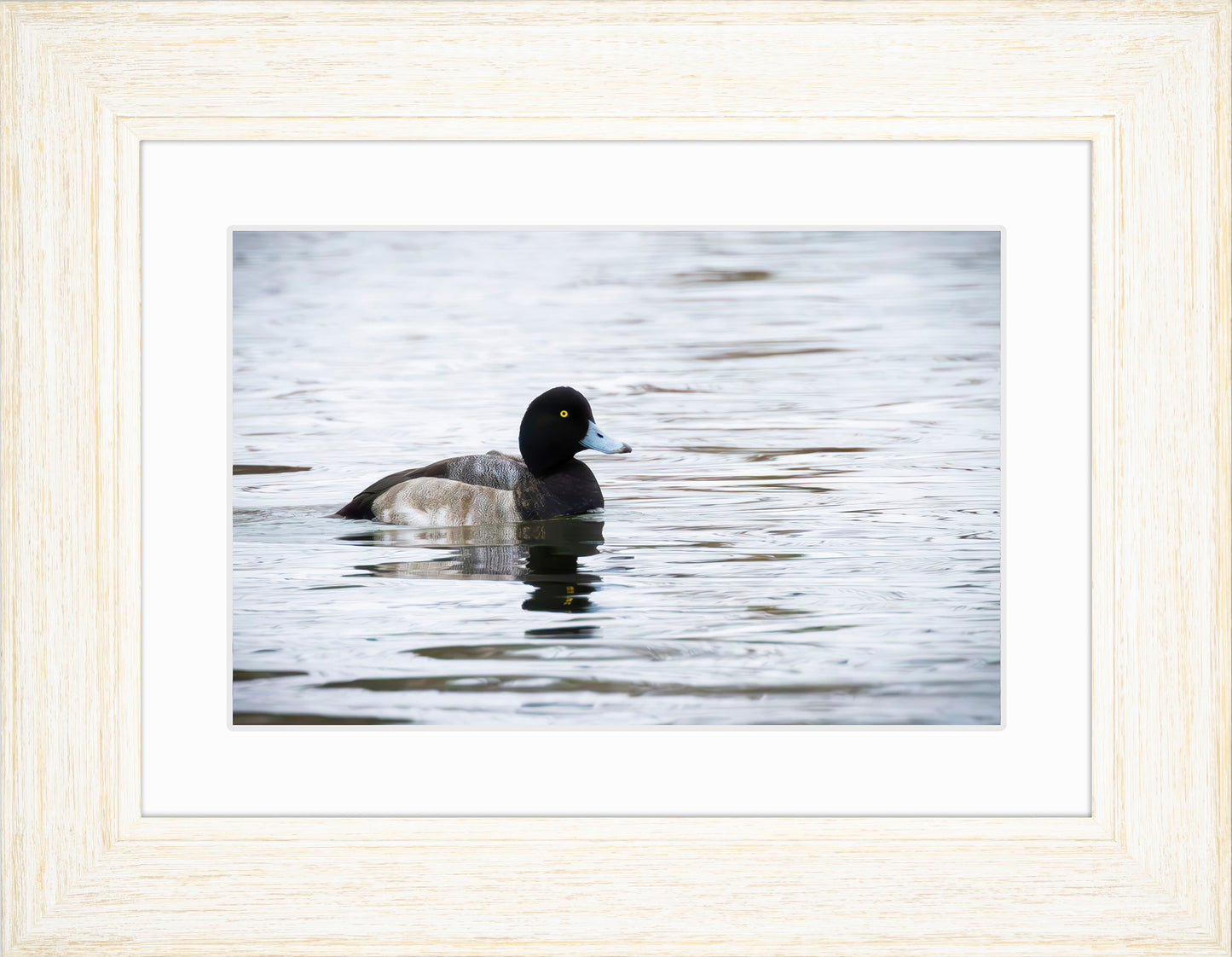 Muddy Blue Bill