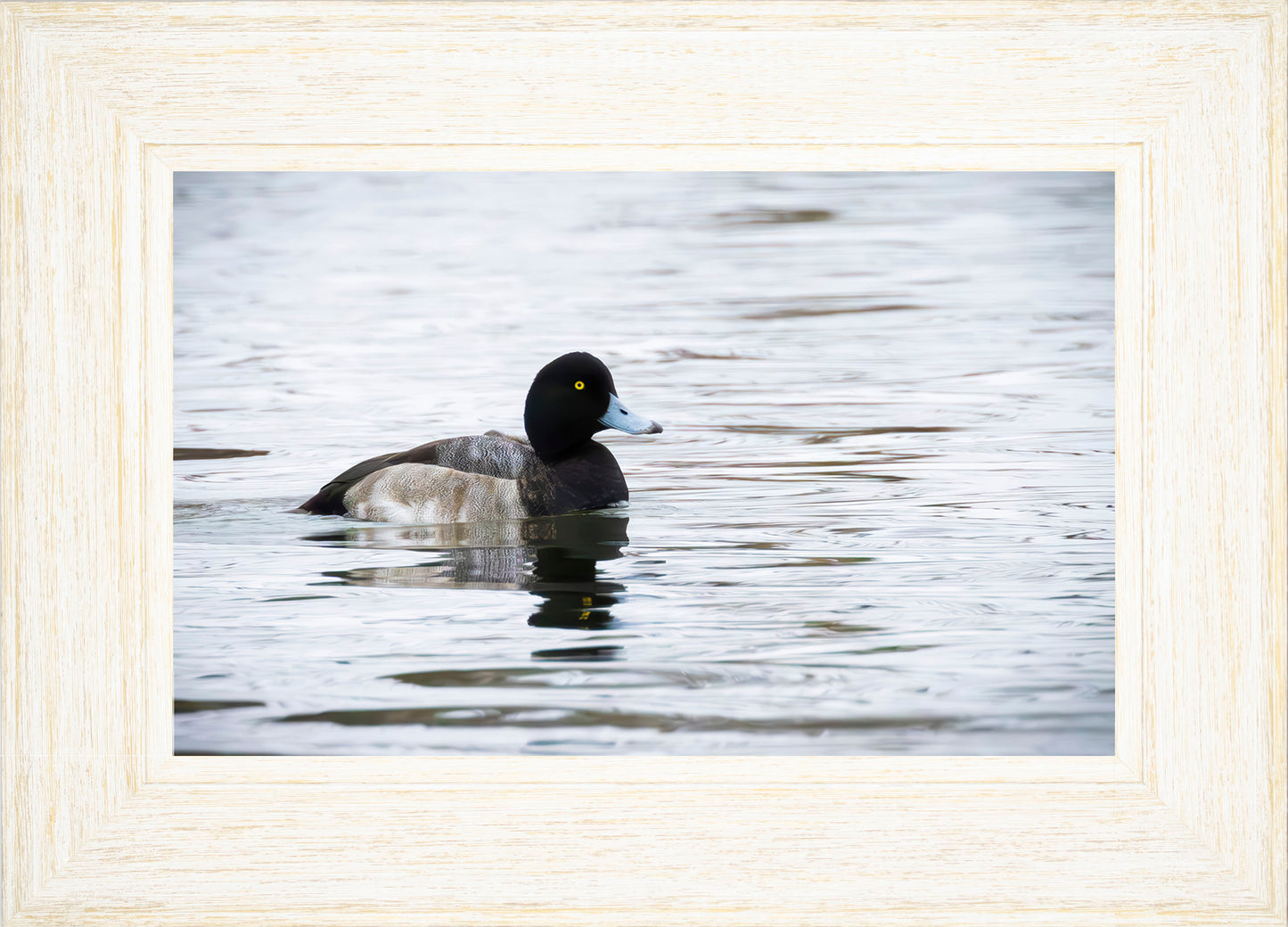Muddy Blue Bill