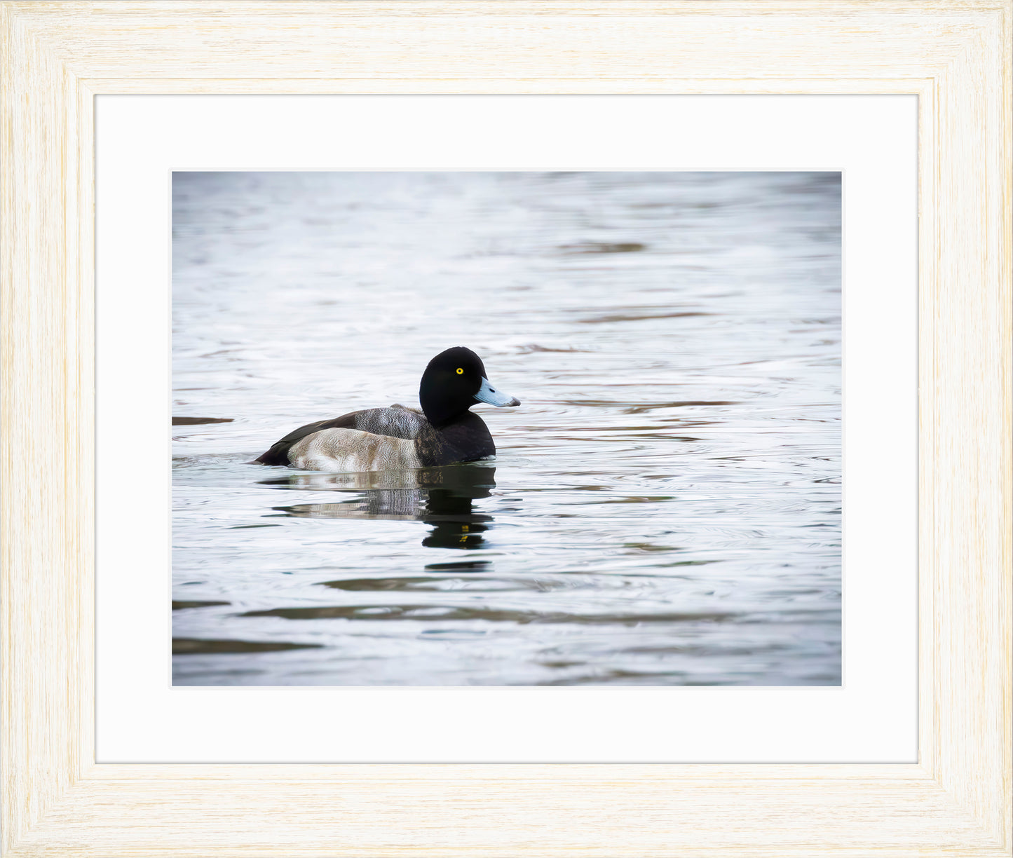 Muddy Blue Bill