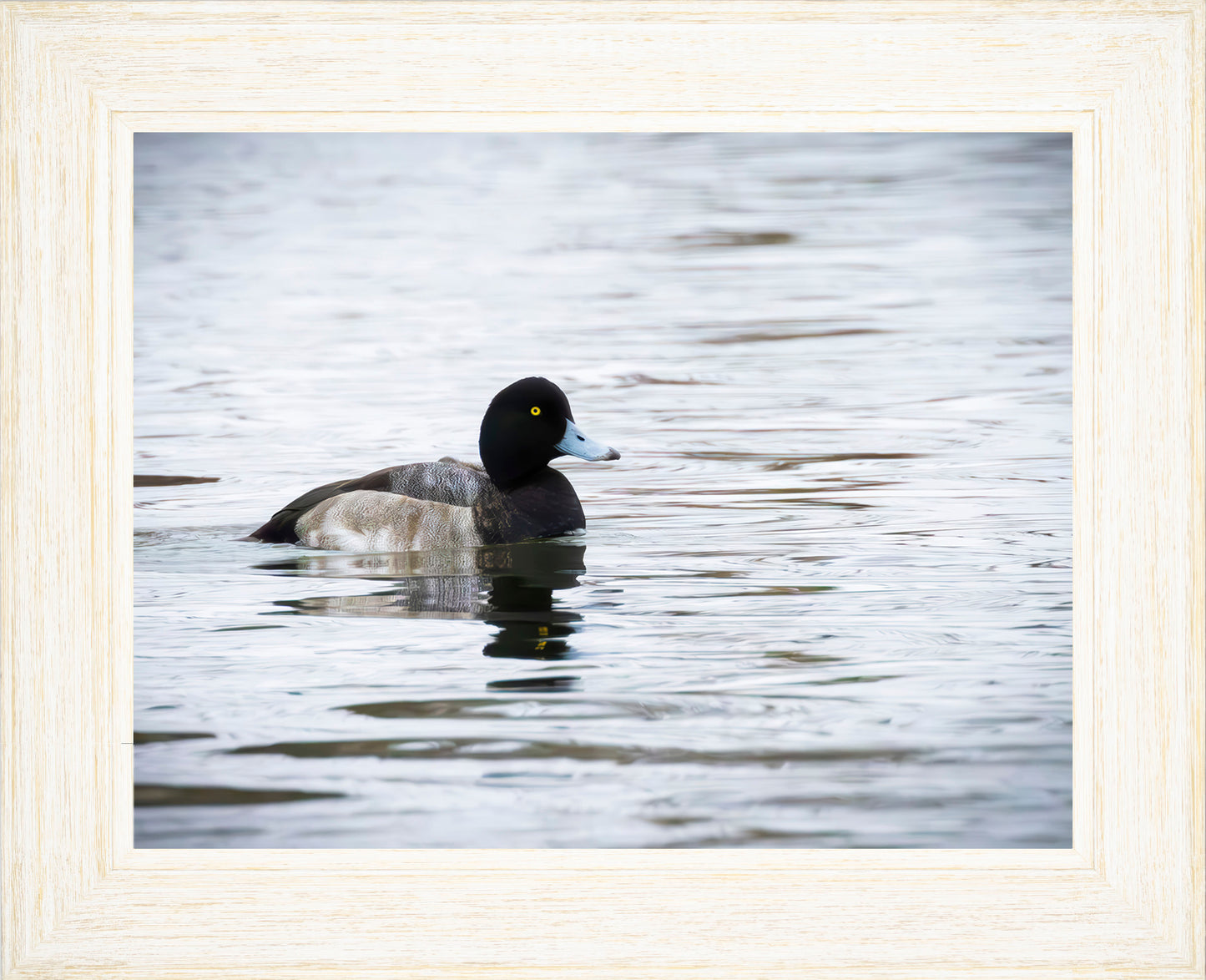 Muddy Blue Bill