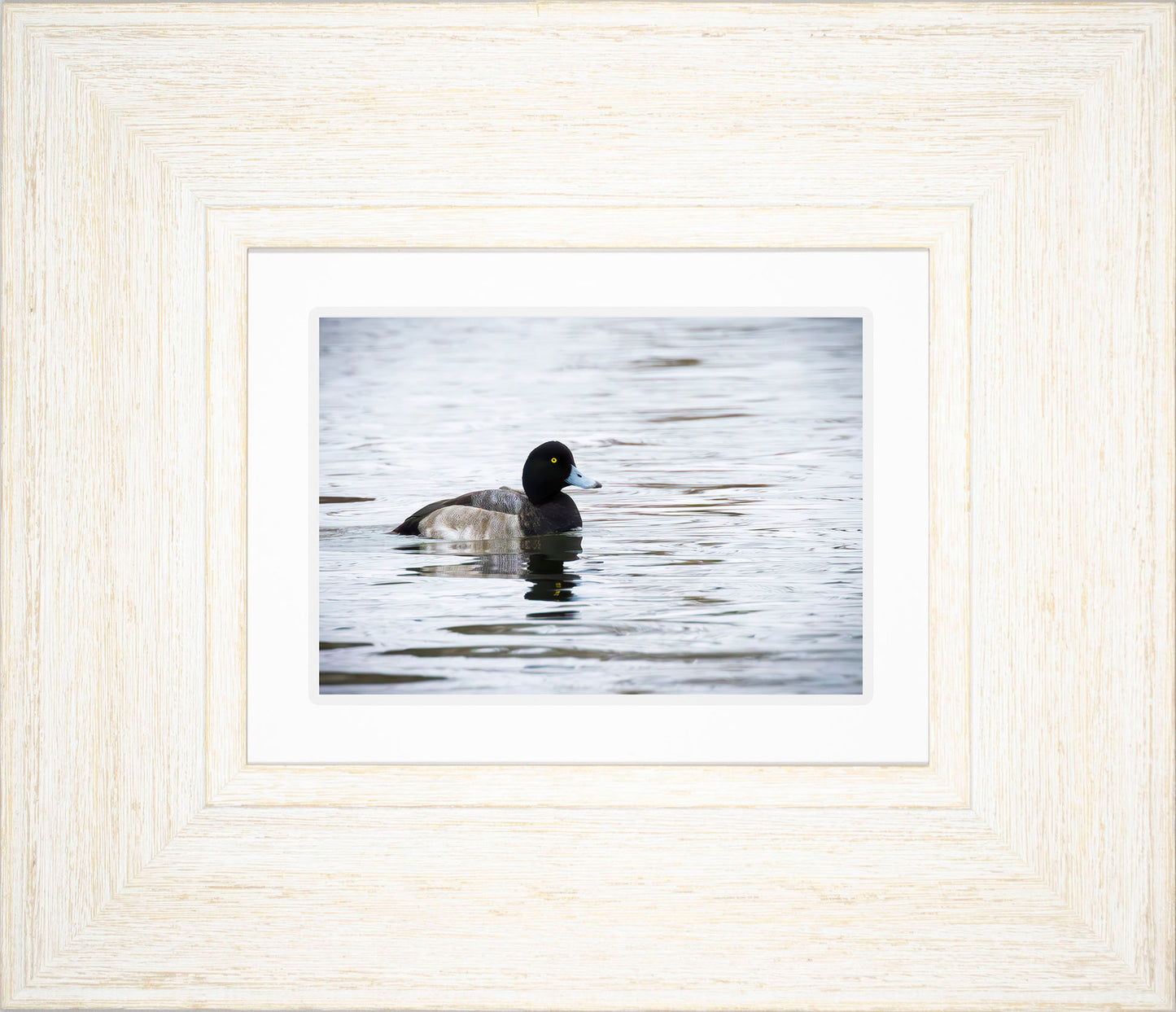 Muddy Blue Bill