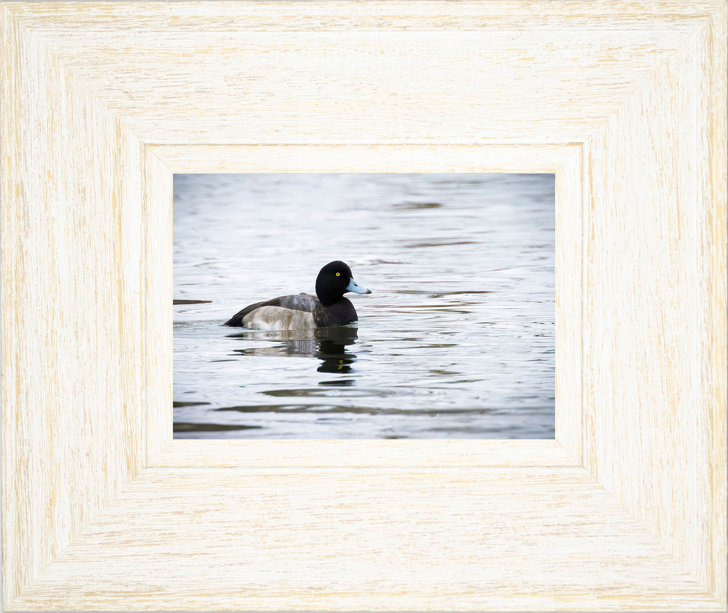 Muddy Blue Bill