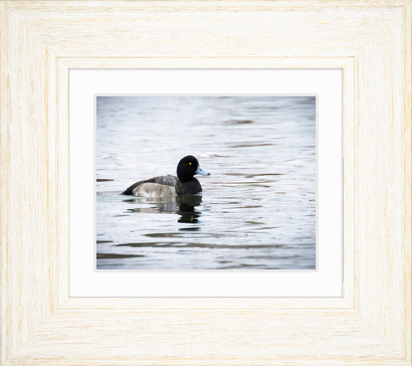 Muddy Blue Bill