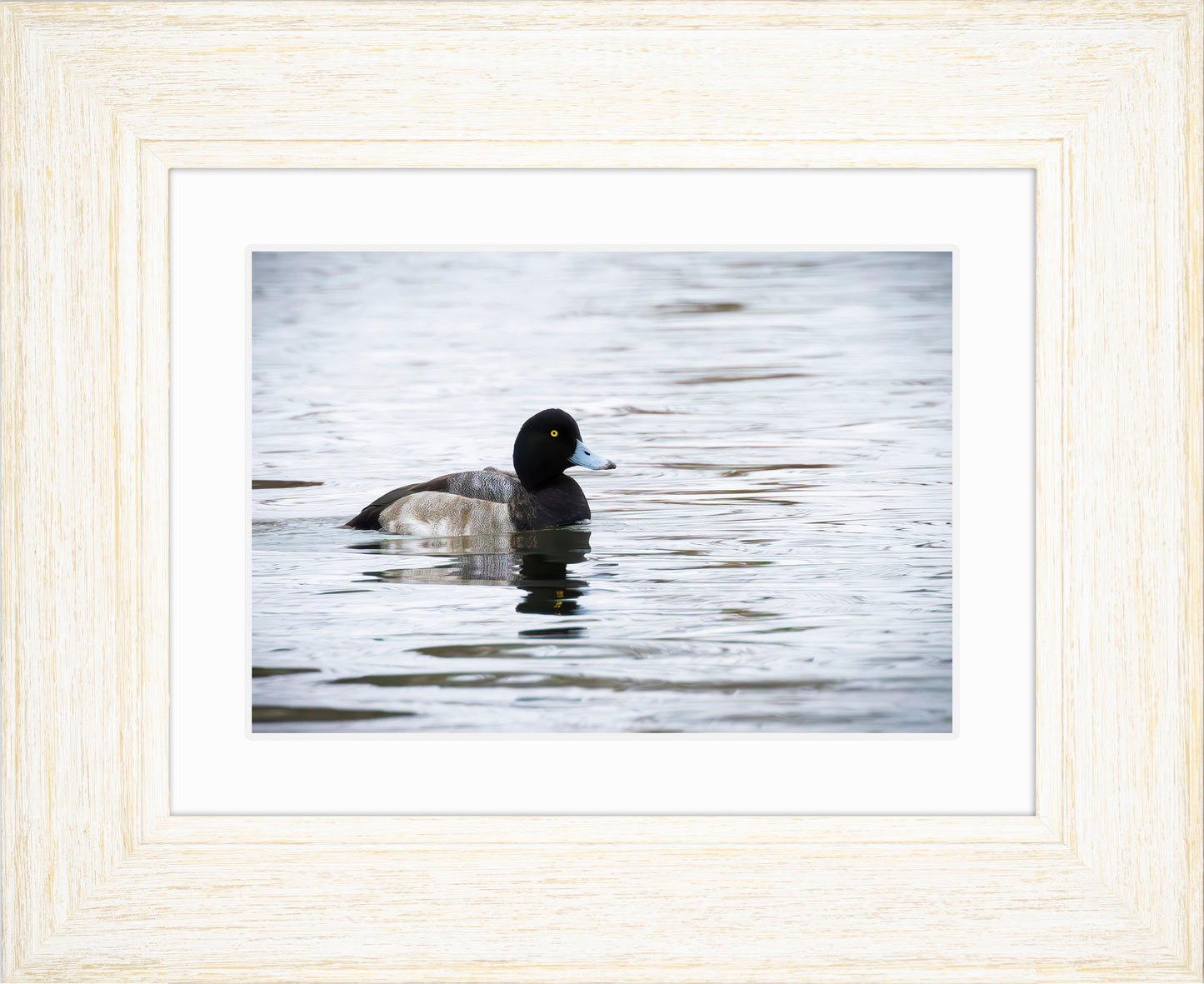 Muddy Blue Bill