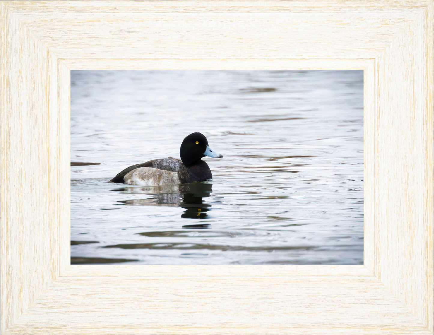 Muddy Blue Bill