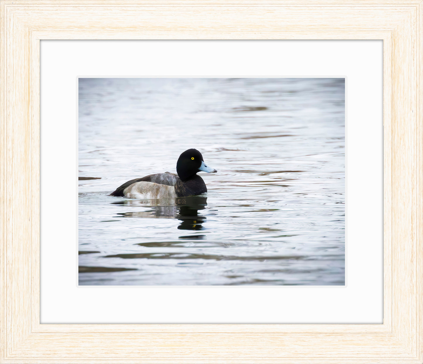 Muddy Blue Bill