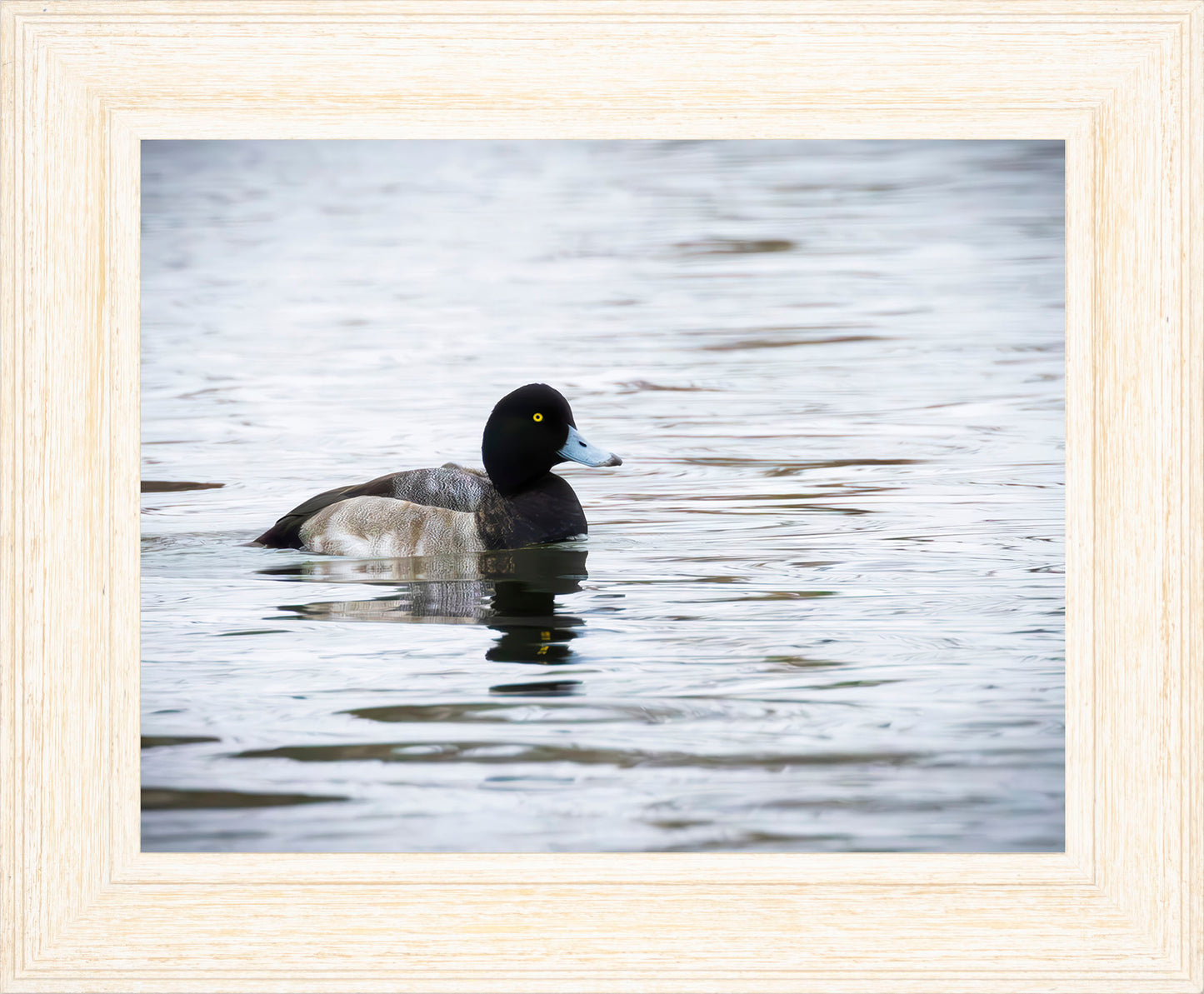 Muddy Blue Bill