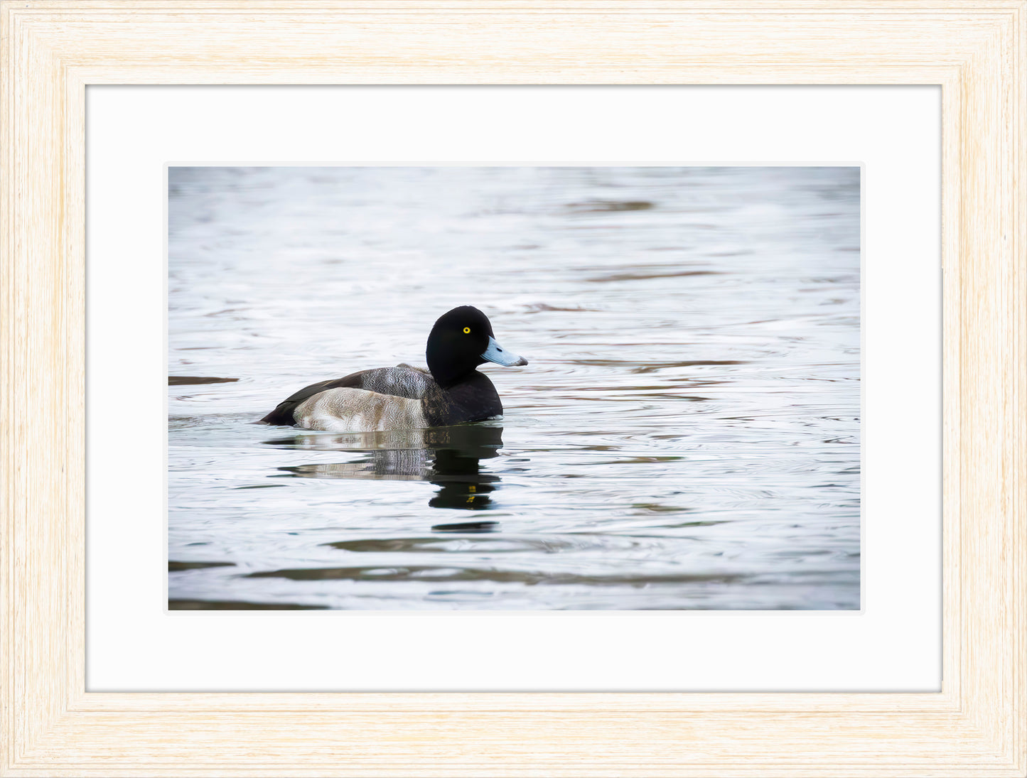 Muddy Blue Bill