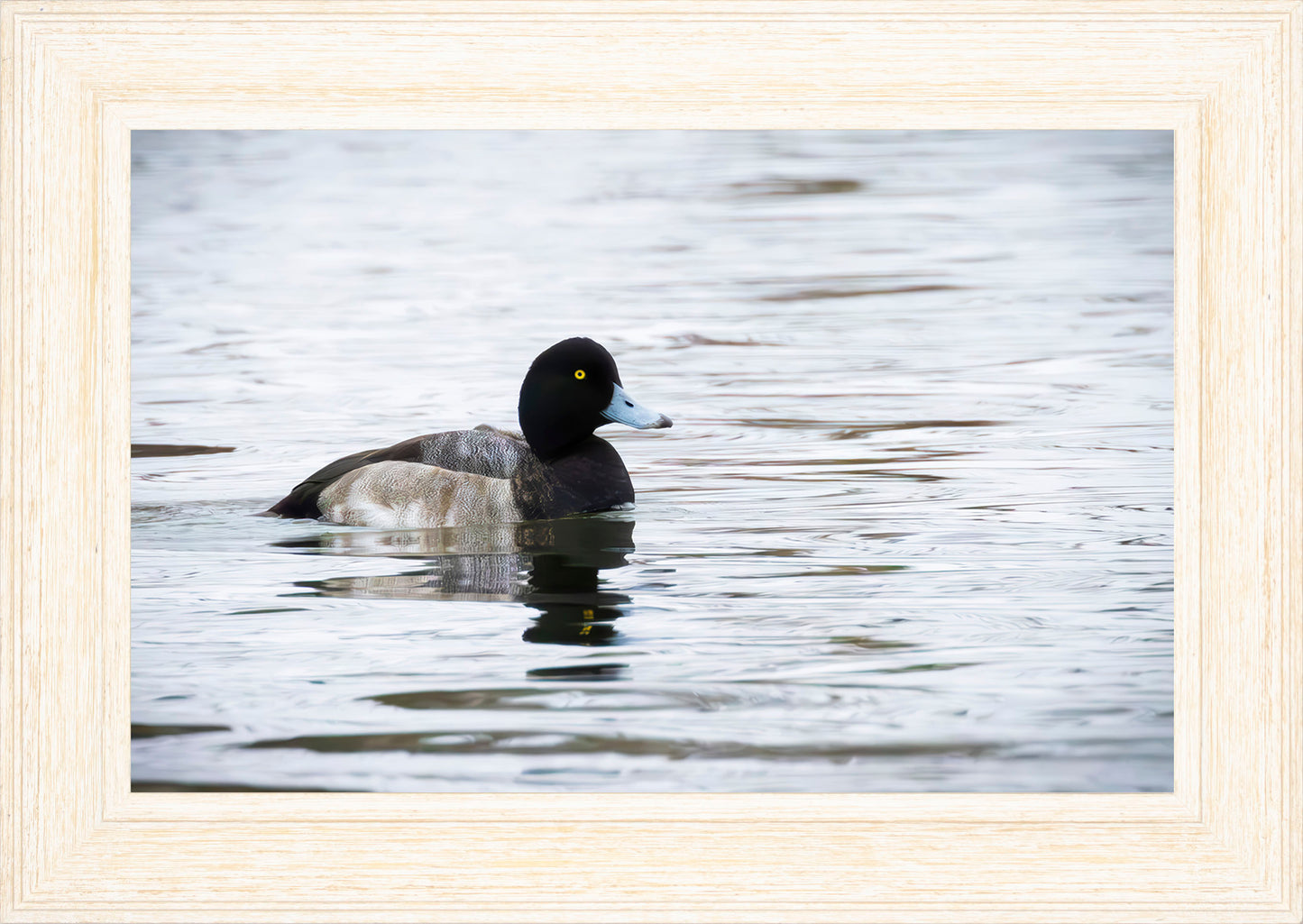 Muddy Blue Bill