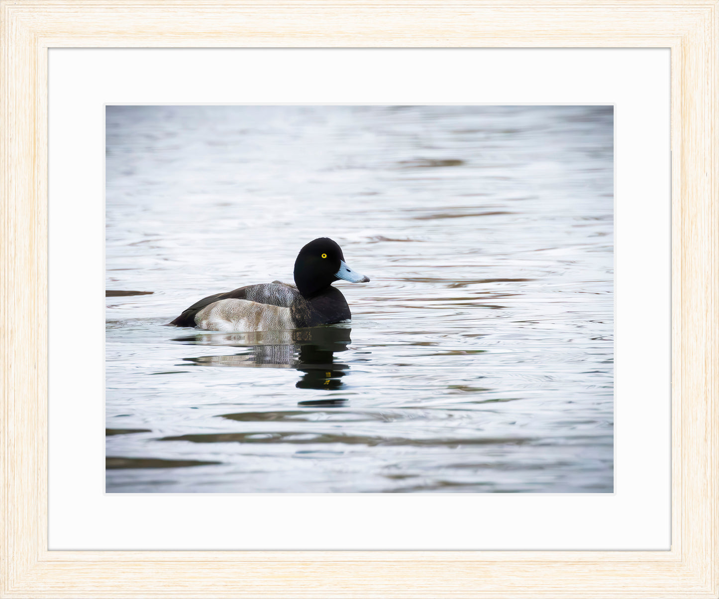 Muddy Blue Bill