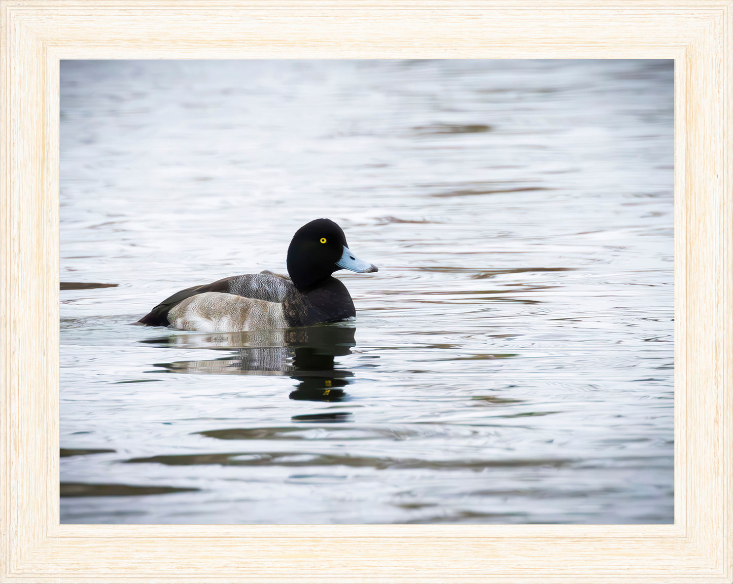 Muddy Blue Bill