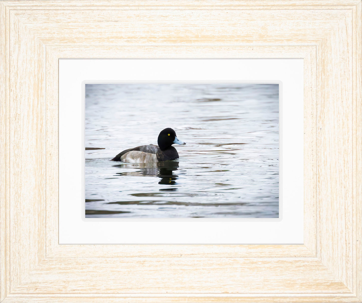 Muddy Blue Bill