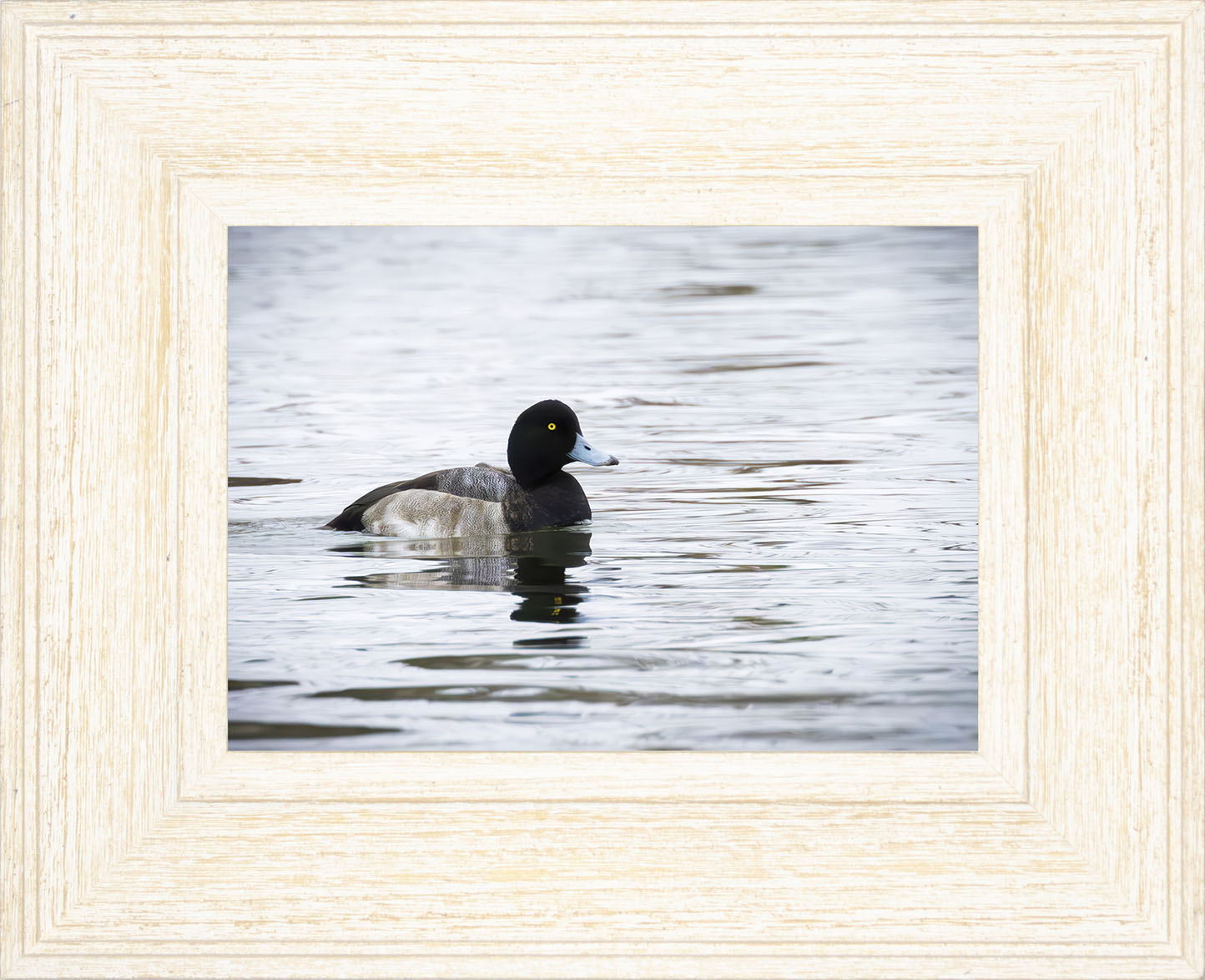 Muddy Blue Bill