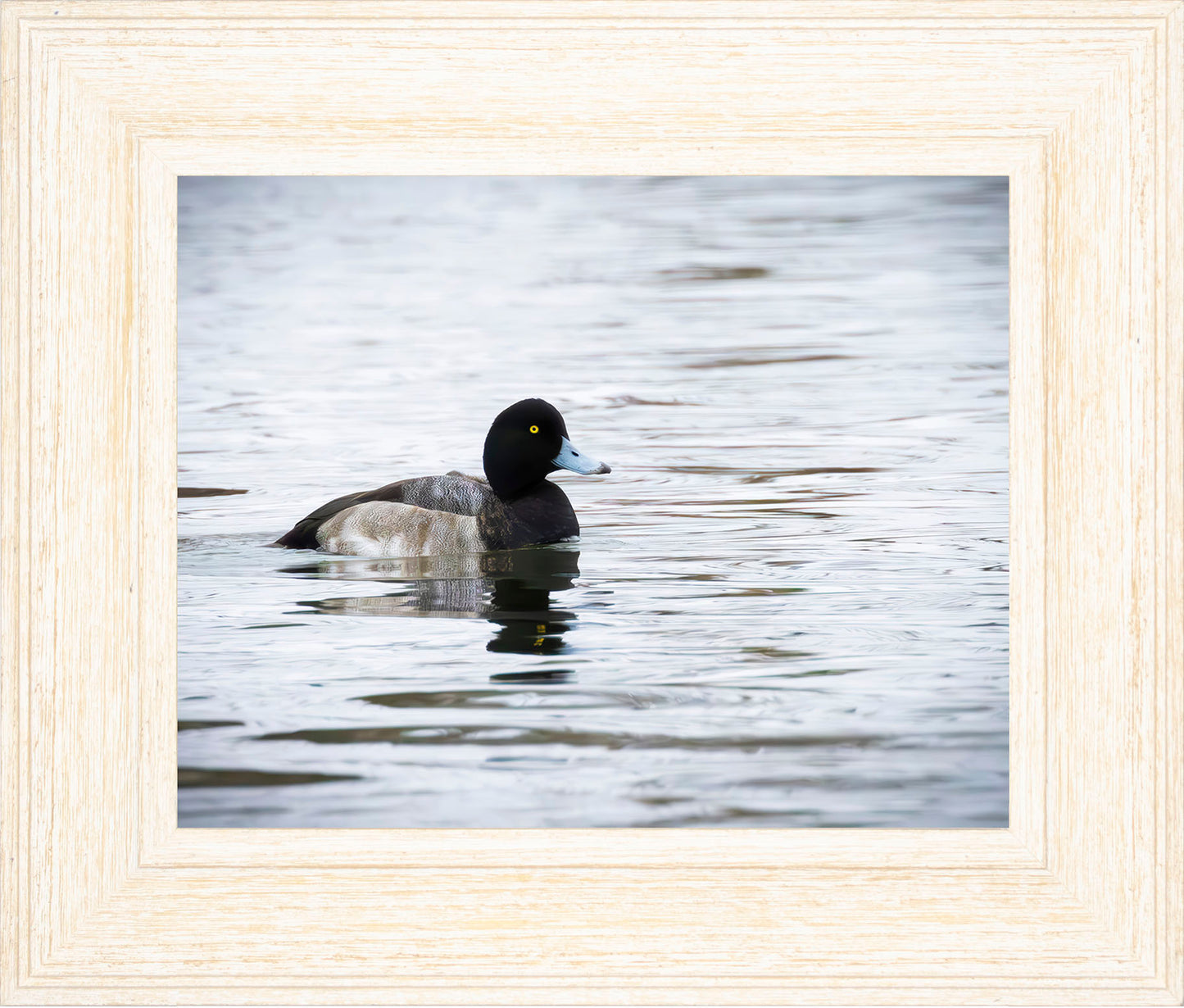 Muddy Blue Bill