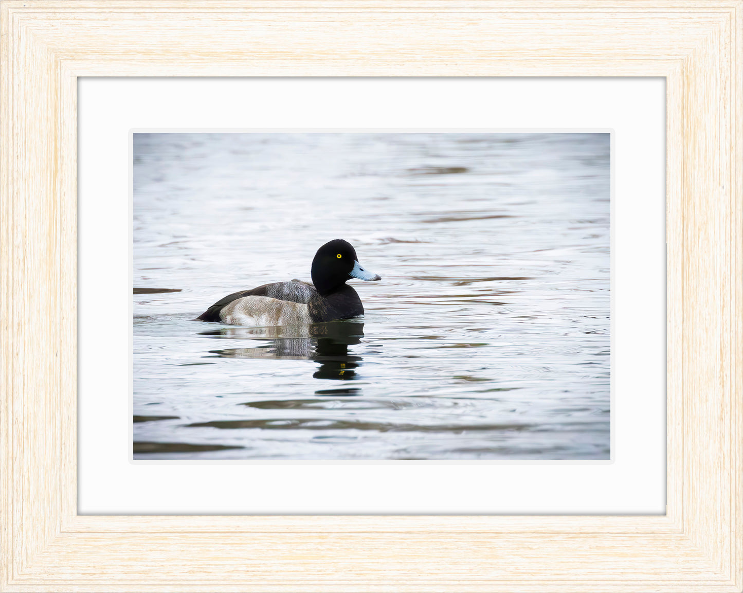 Muddy Blue Bill