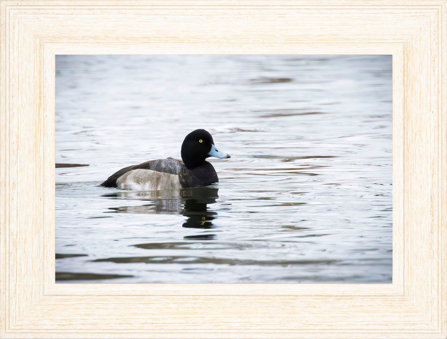Muddy Blue Bill