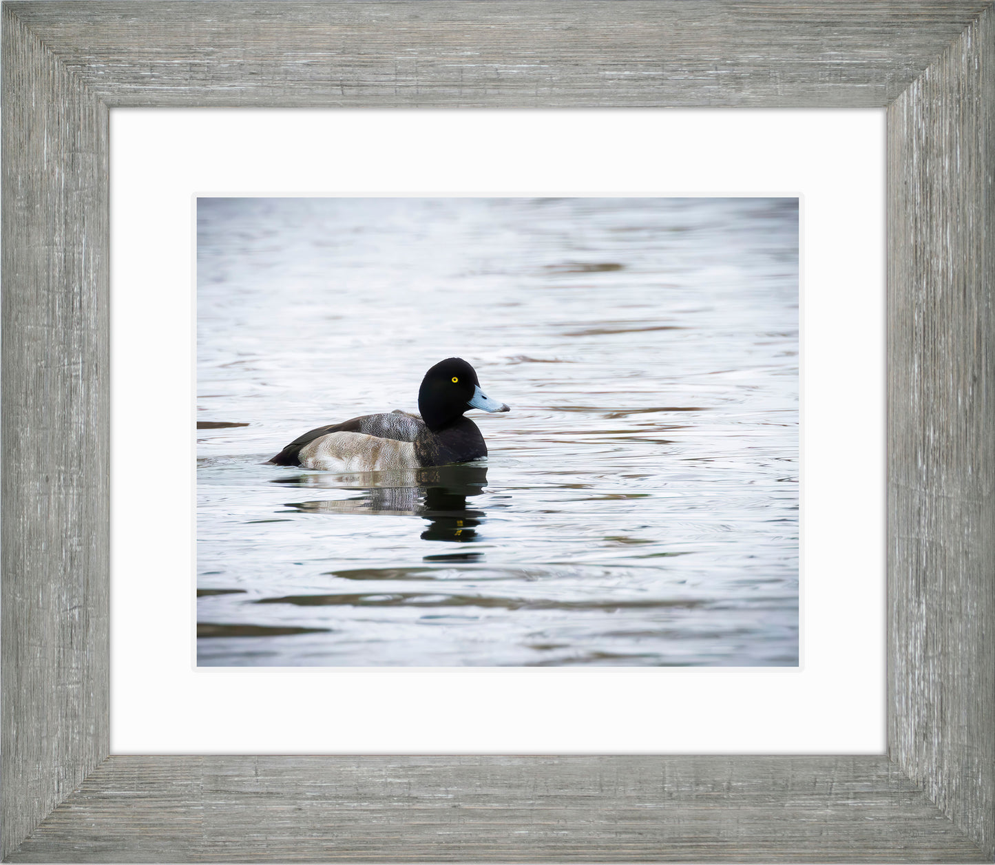 Muddy Blue Bill