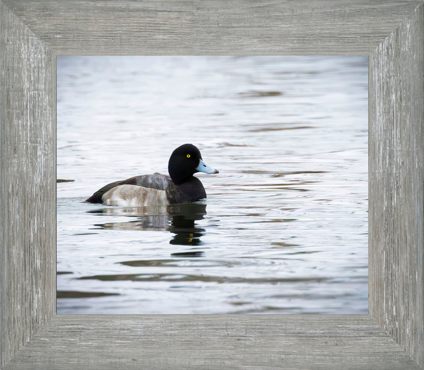 Muddy Blue Bill