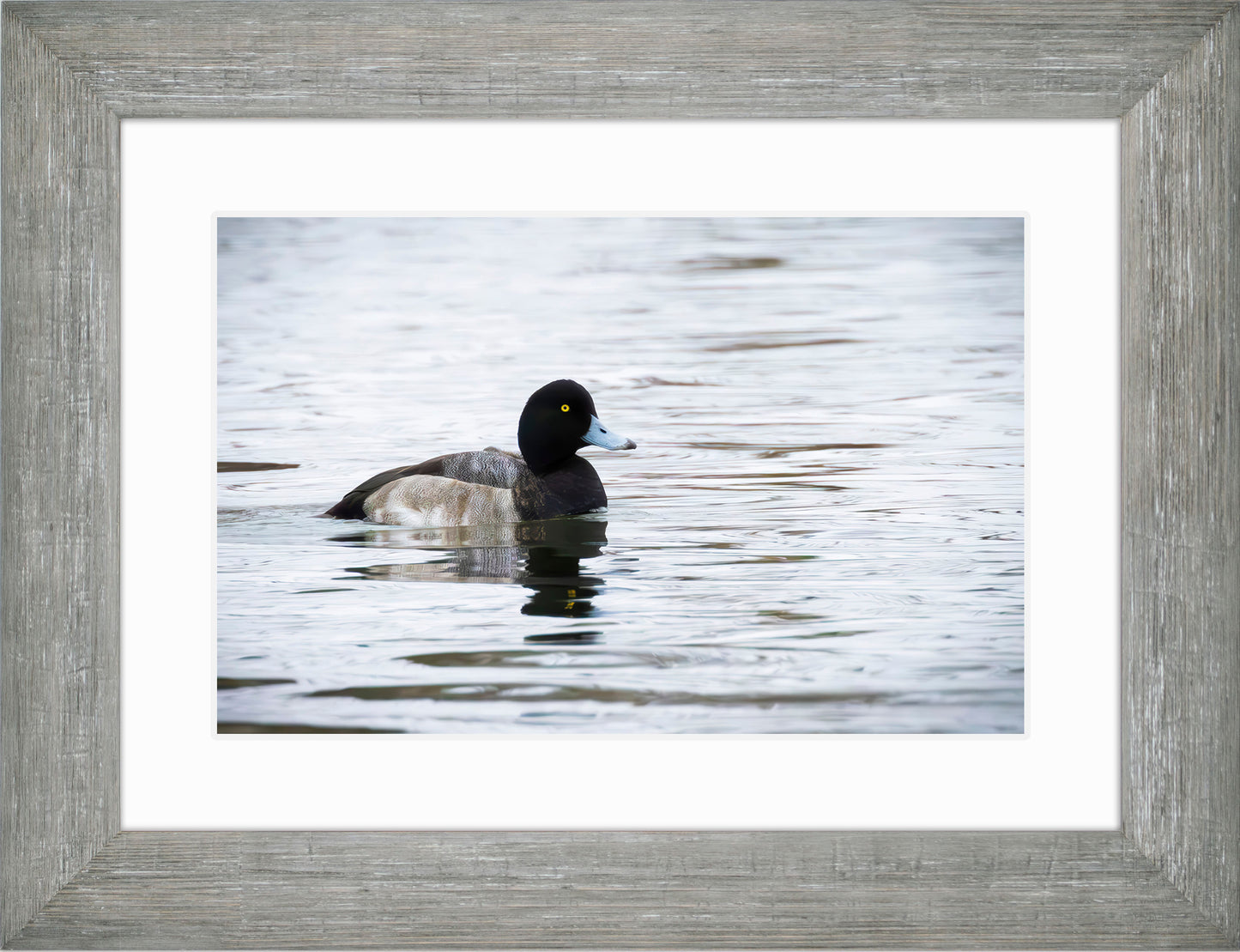 Muddy Blue Bill