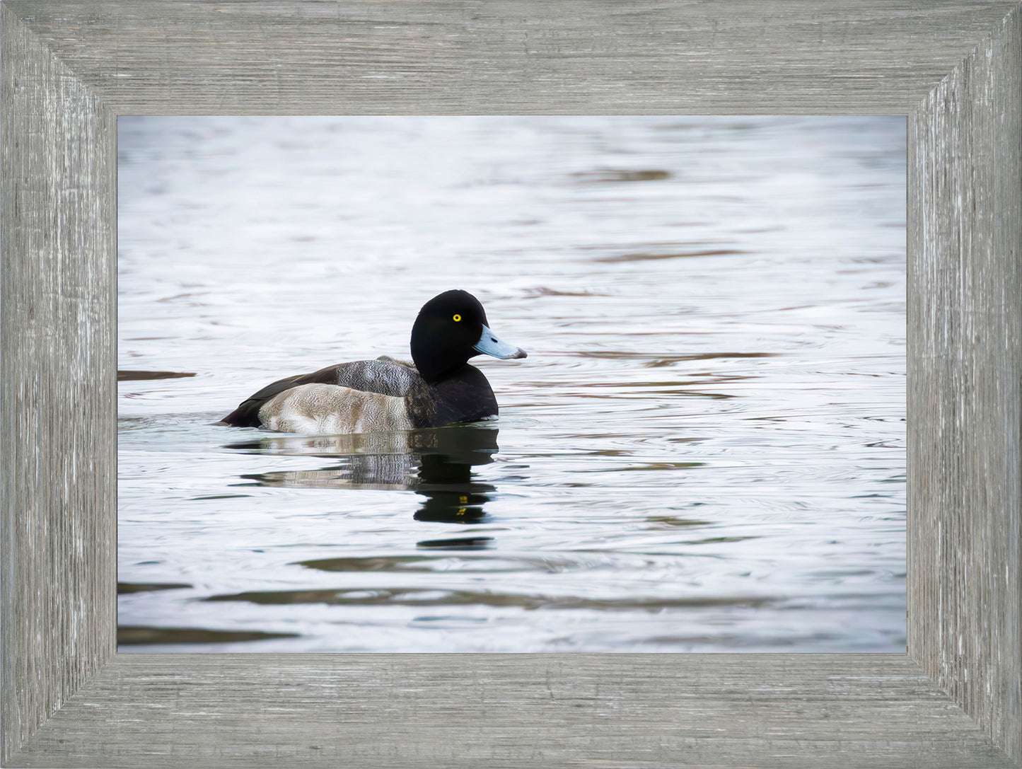 Muddy Blue Bill